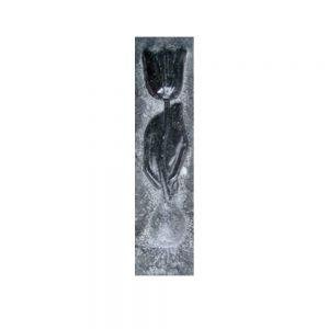 Black Tulip