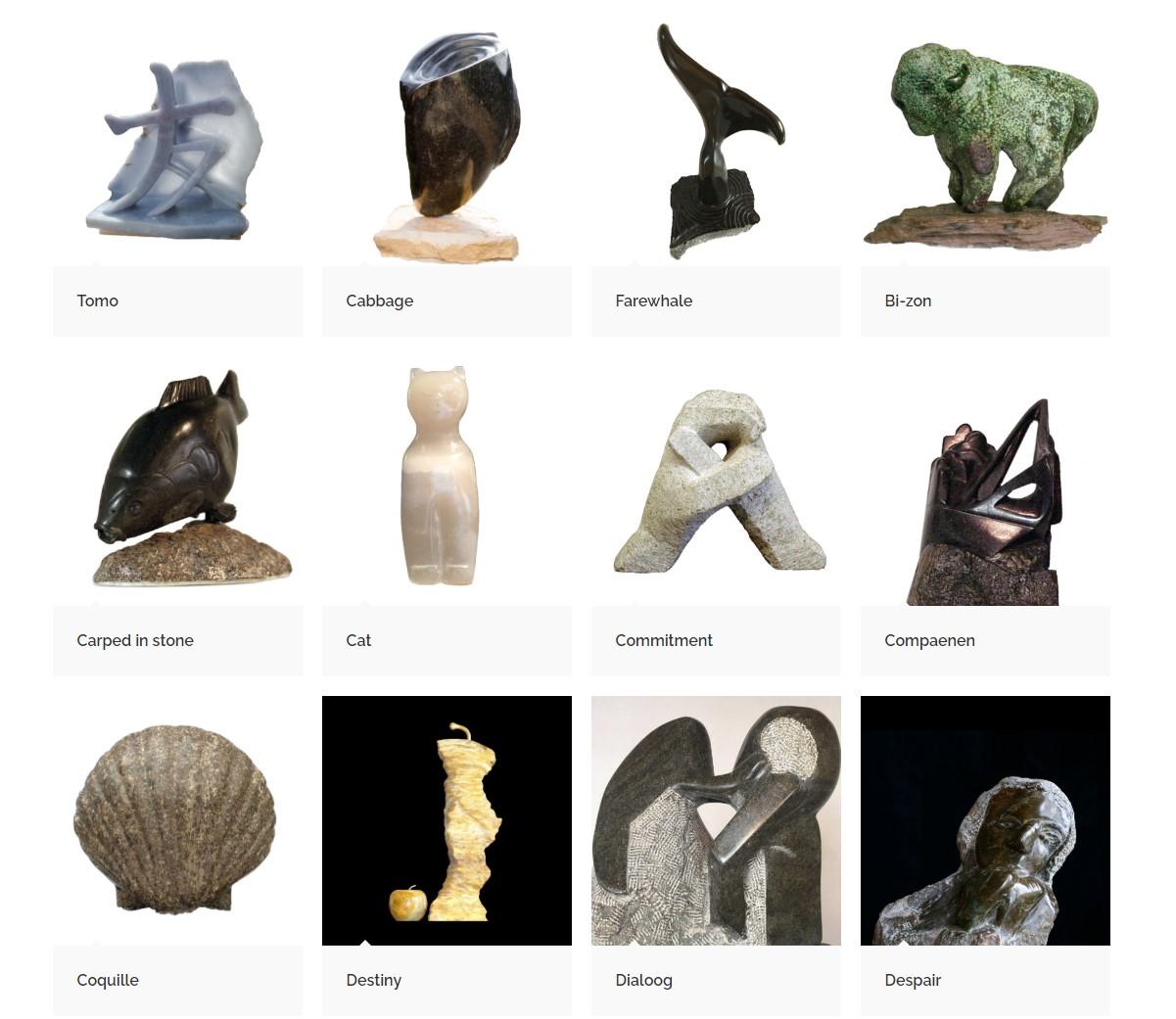 Lees meer over het artikel Nieuwe website