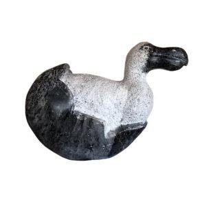 DoDo